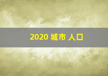 2020 城市 人口